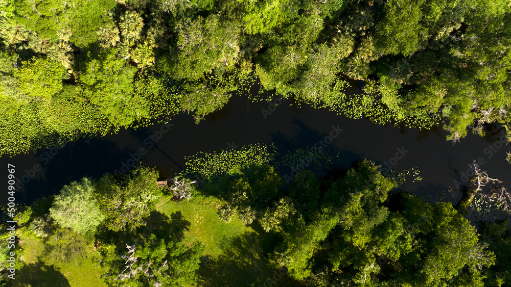 Wekiwa River located north of Orlando, Florida. April 20, 2022. Wekiwa River located north of Orlando, Florida. April 20, 2022.