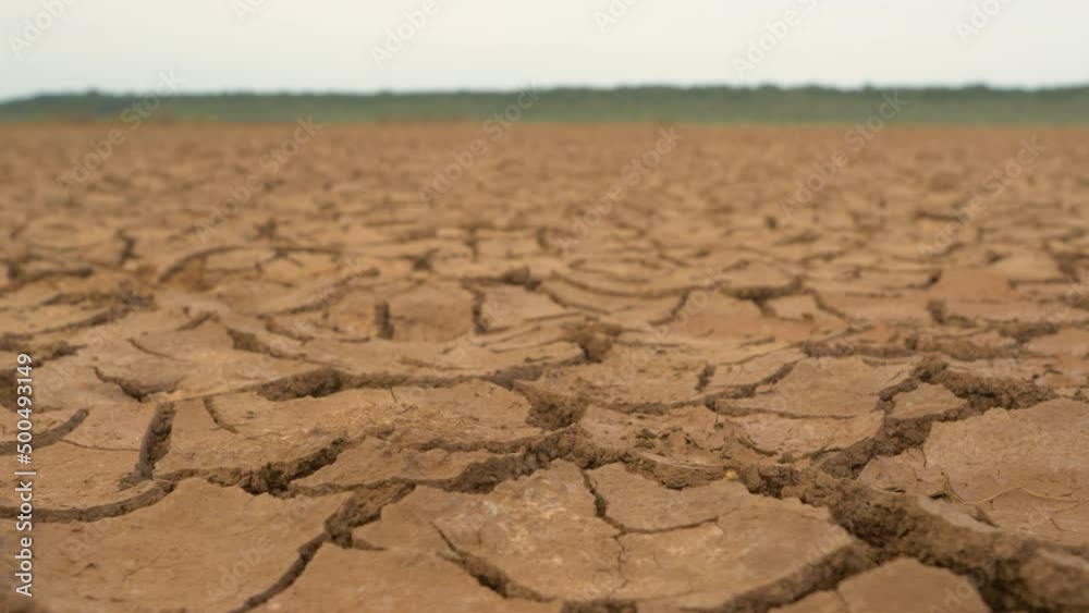 CLOSE UP: Big surface of cracked soil caused by long draught. Brown desiccated landscape with ground cracks and no vegetation. Dry land with crack pattern caused by lack of water.
