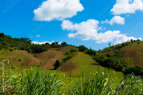 View with green field and mountains
