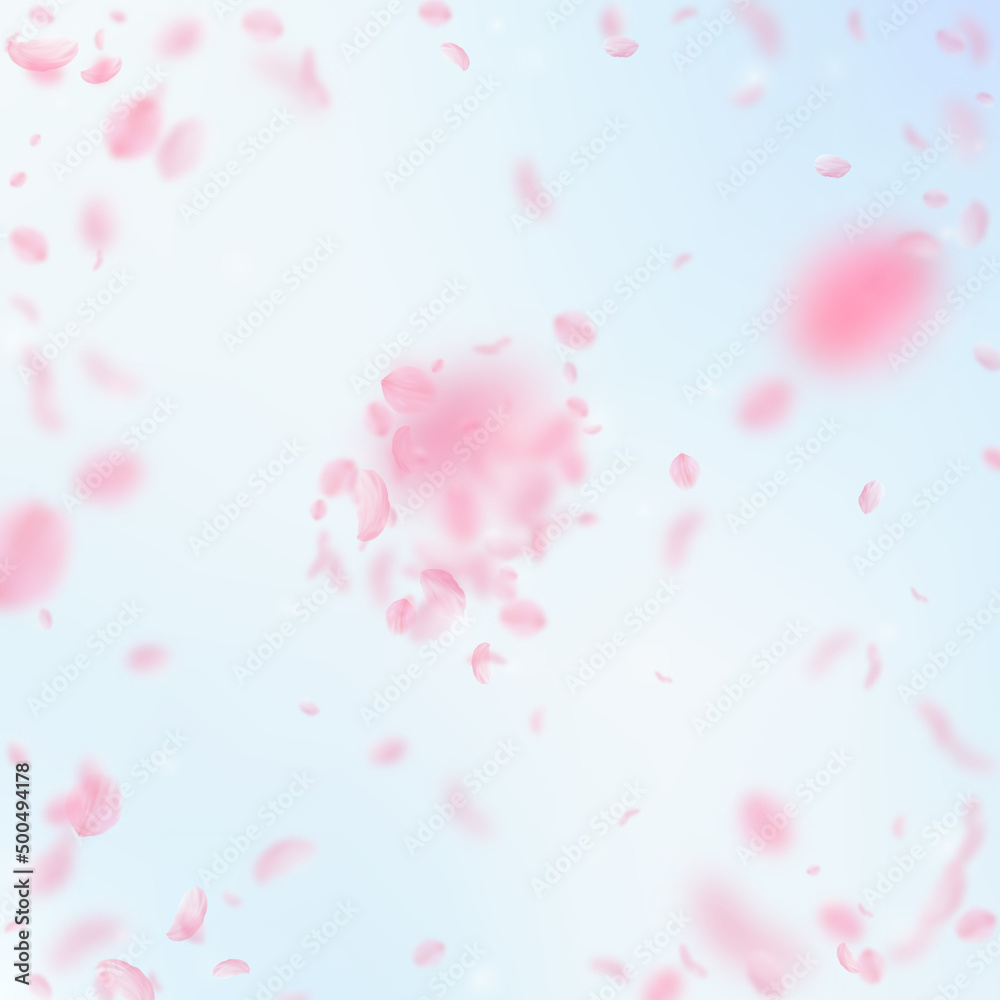 Sakura petals falling down. Romantic pink flowers explosion. Flying petals on blue sky square background. Love, romance concept. Comely wedding invitation.