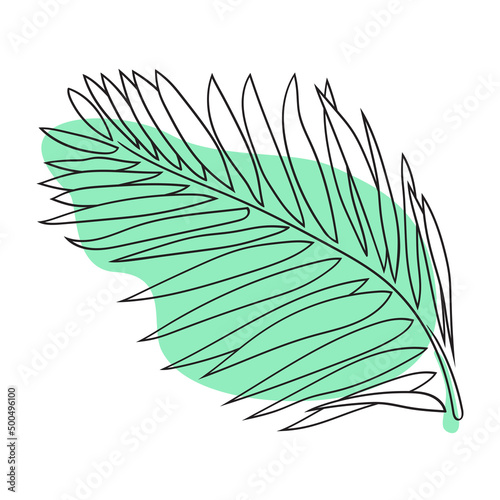 Palm leaf vector illustration. Tropical plant. Botanical art. Minimalist palm leaf. Hand-drawn exotic leaves. Outline palm leaf. Modern style. Floral illustration.