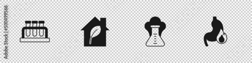 Set Test tube and flask, Eco friendly house, Chemical explosion and Stomach heartburn icon. Vector