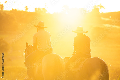 Cavalos crioulos no pôr do sol photo