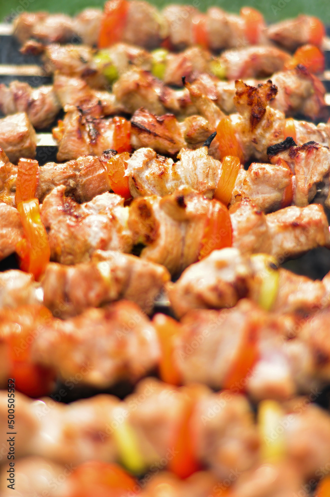 Pork Skewers On The Grill Pork Skewers On The Grill