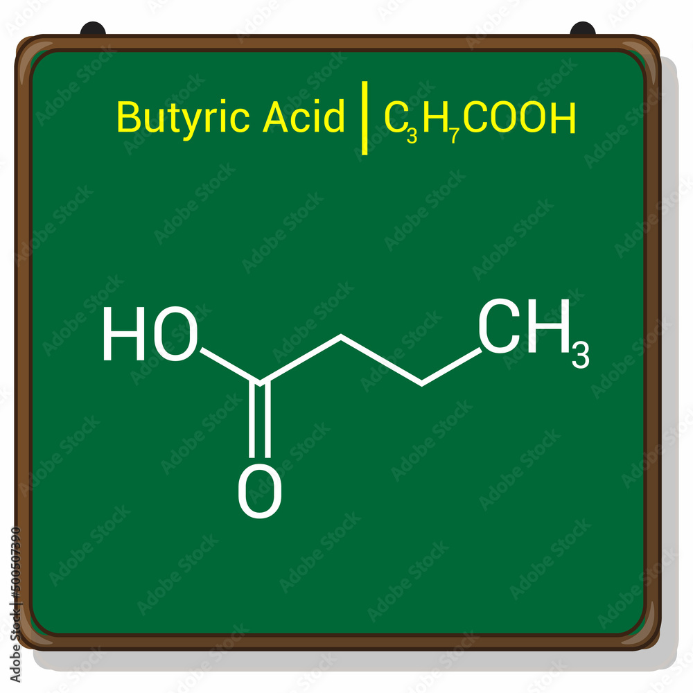 chemical structure of butyric acid (C3H7COOH) Stock Vector Adobe Stock