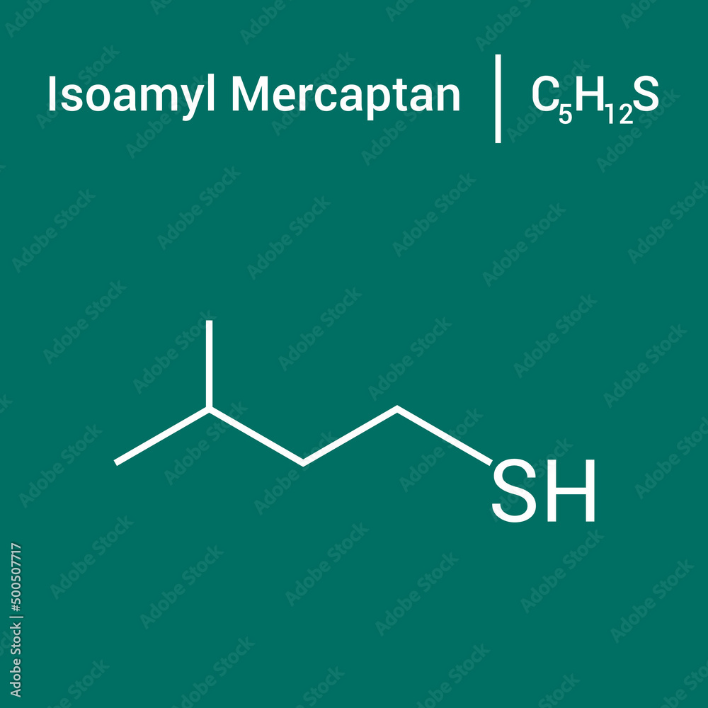 chemical structure of isoamyl mercaptan (C5H12S) chemical structure of isoamyl mercaptan (C5H12S)