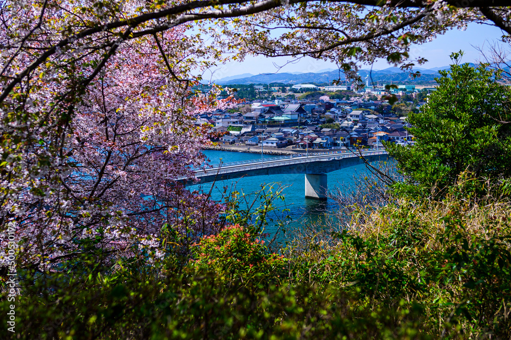 桜の木の間から見るなみかけ大橋の風景