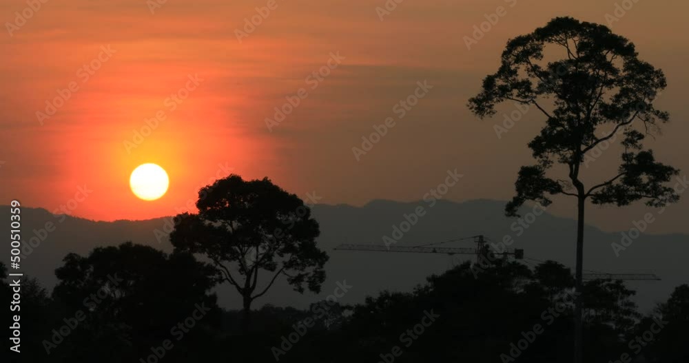 video background 4K of the morning sun rising in the middle of the sea, small fishing boats and many kinds of birds flying past in blur, the beauty of seaside community life. video background 4K of the morning sun rising in the middle of the sea, small fishing boats and many kinds of birds flying past in blur, the beauty of seaside community life.