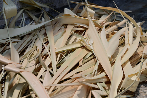 Traditional braided palm leaf, to be blessed on Palm Sunday In the church of Thailand.
