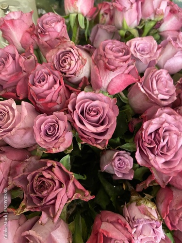 A close up of a nice dust pink bouquet of roses