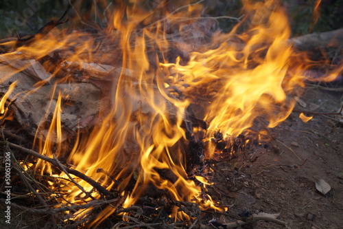 fire in the fireplace