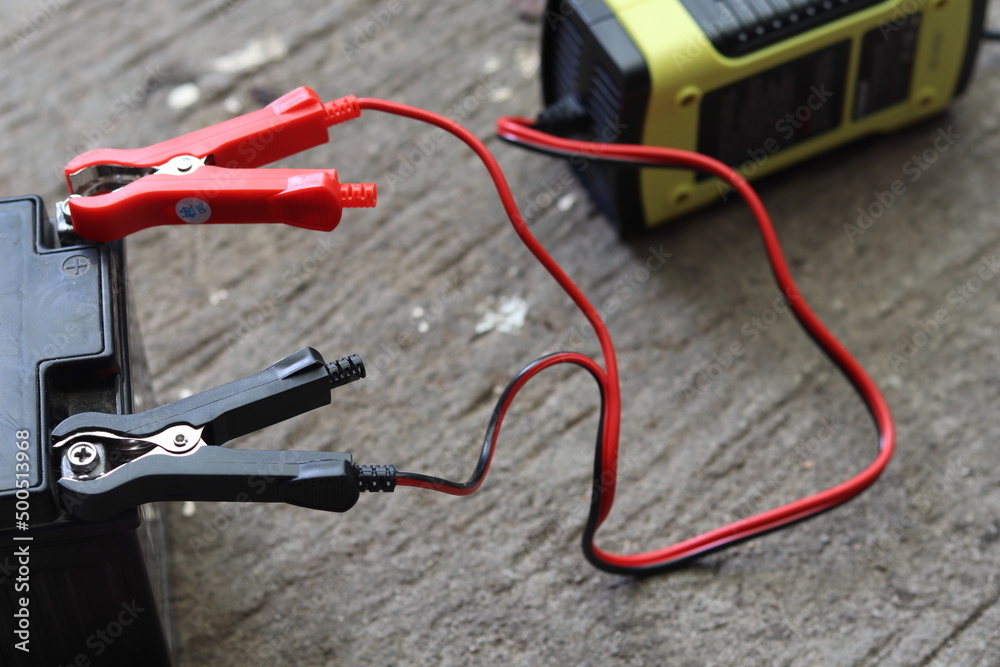 Black and red wires, the ends of the wires have clamps for battery