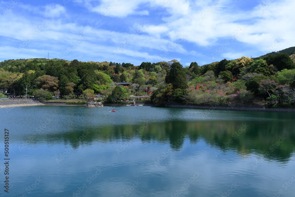 弁天池からツツジを眺める 春 (高知県 安芸市 内原野公園) 弁天池からツツジを眺める 春 (高知県 安芸市 内原野公園)