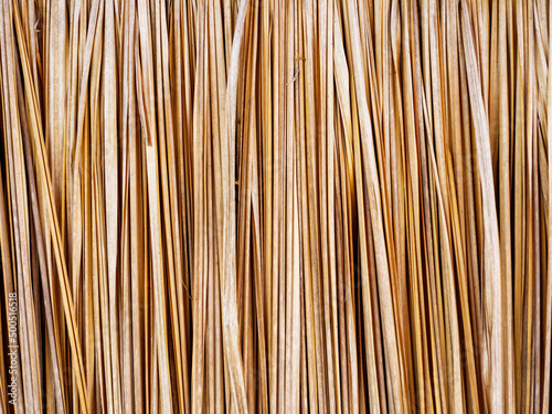 Dry brown vetiver grass  texture background. Concept of nature background, retro wallpaper, vintage wall rural style.