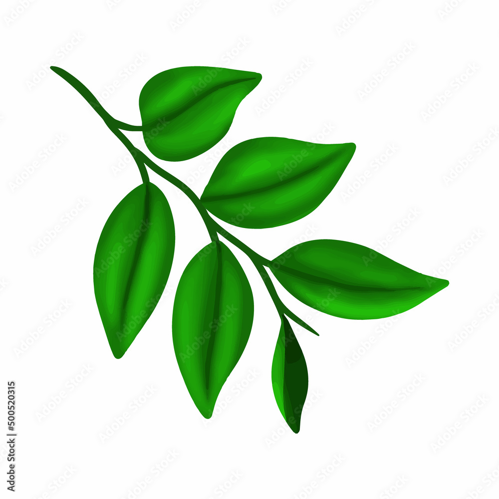 hand drawn plant leaf and branch elements illustration