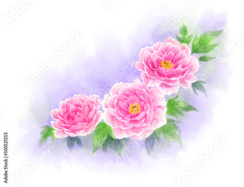  Peony drawn with digital watercolor (light purple background)