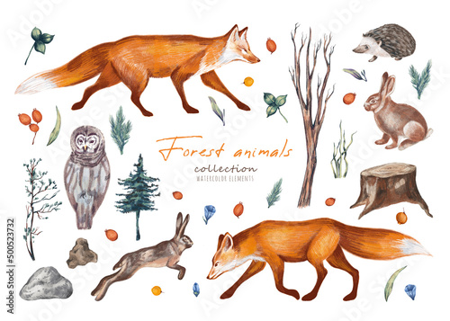 Photography Watercolor hand drawn rural set with illustration of natural trees, forest animals fox, hedgehog, owl, hare, herbs