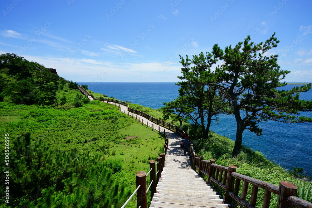 boardwalk at seaside cliff