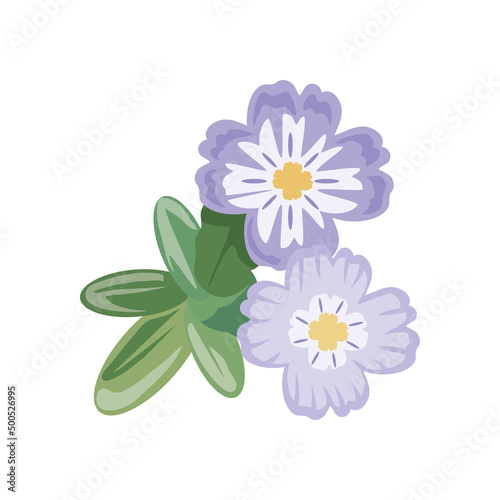 Fototapeta Naklejka Na Ścianę i Meble -  lilac flowers nature