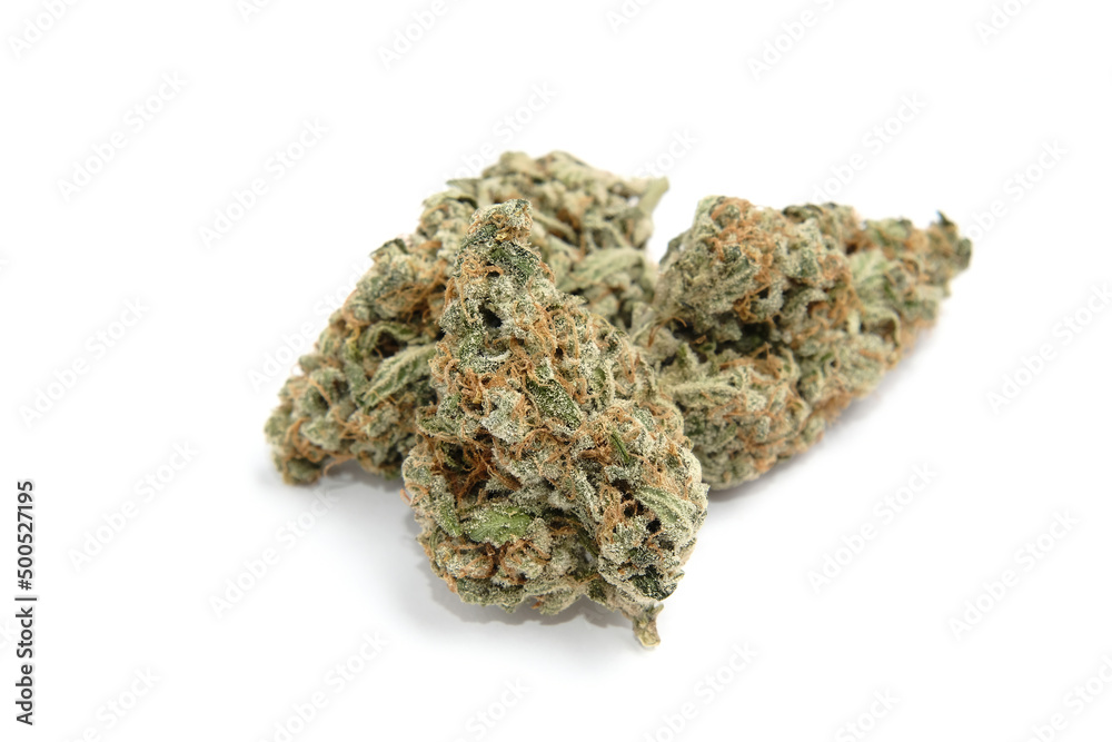 Cannabis flowers, macro view, isolated. Layout of marijuana buds on white background. Hemp growing concept, drying and curing.