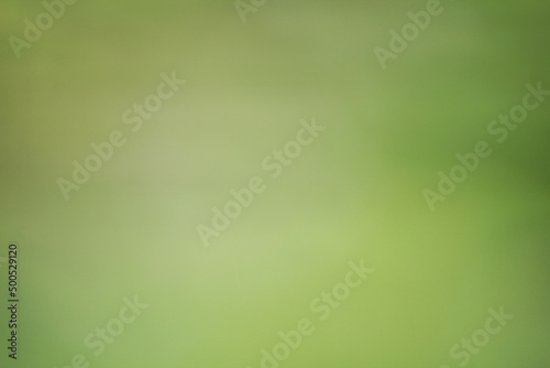 Blur green background with a fresh feel