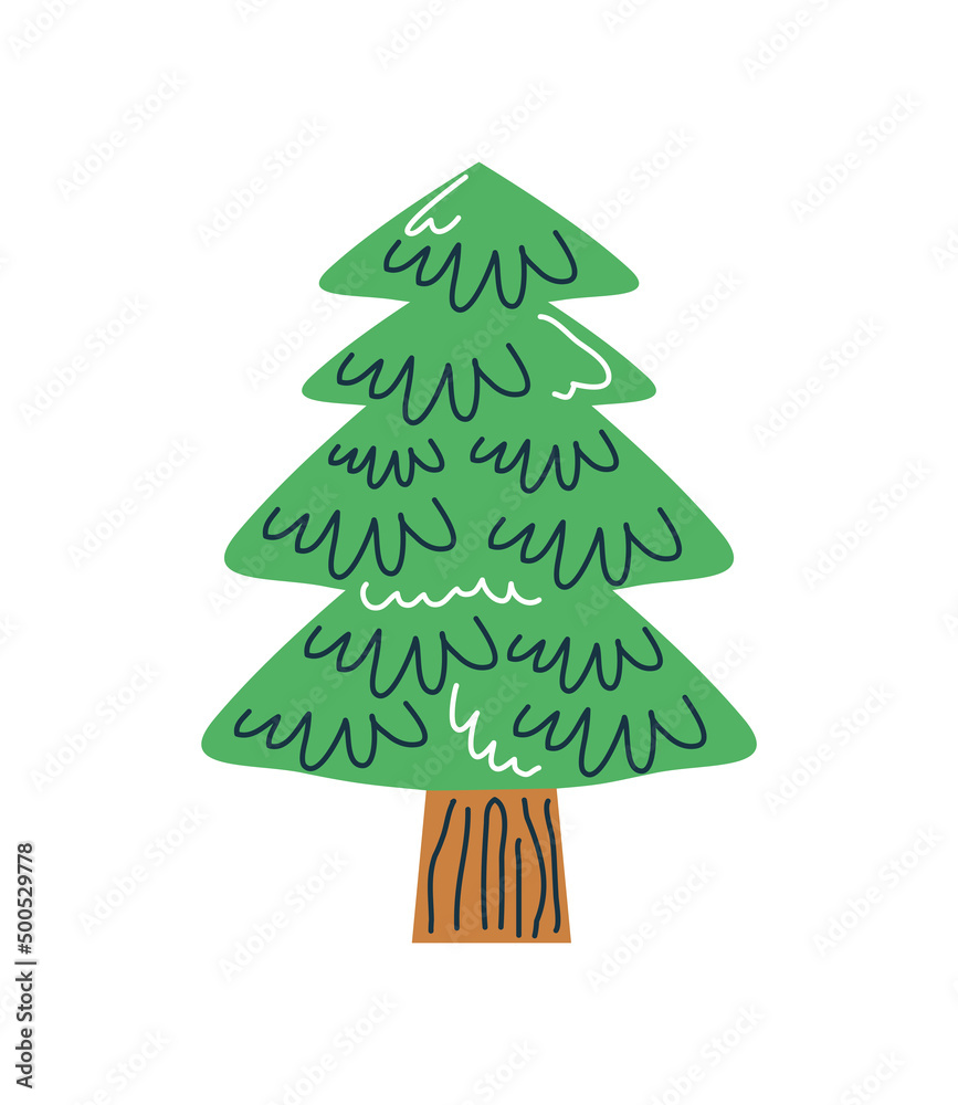 Obraz premium pine tree nature