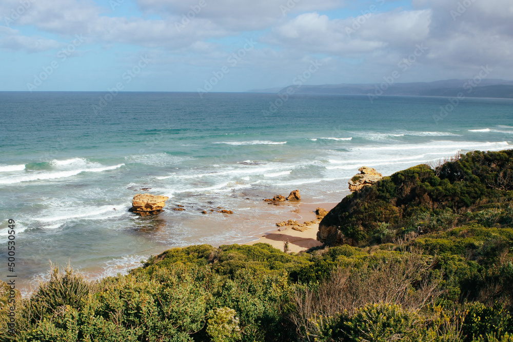 Beach view along Great Ocean Road, Victoria, Australia. Scenic coastal landscape with Australian native flora and fauna in foreground and ocean waves crashing against rocks in background