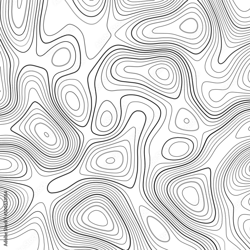 Abstract arrangement of lines in the style of a topographic map. Dark outlines on a light background. Vector illustration.