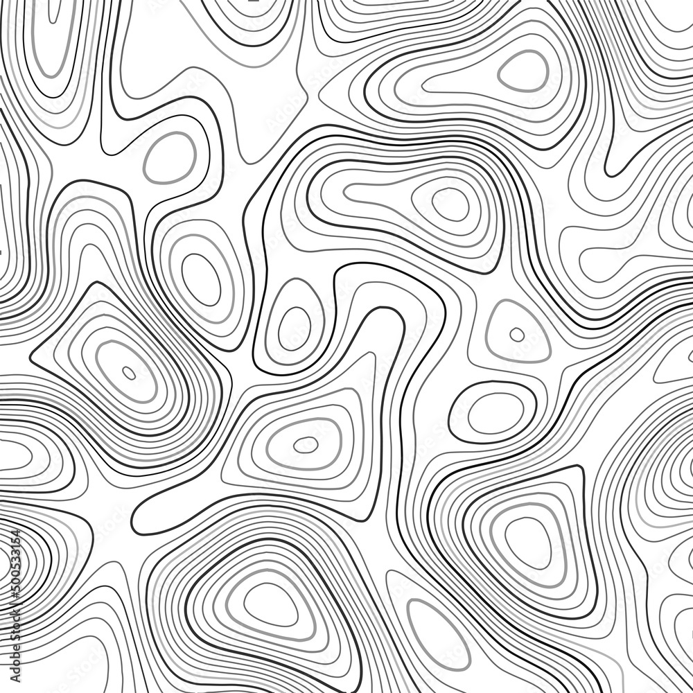 Abstract arrangement of lines in the style of a topographic map. Dark outlines on a light background. Vector illustration. Abstract arrangement of lines in the style of a topographic map. Dark outlines on a light background. Vector illustration.