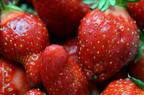 Red ripe juicy fresh strawberries