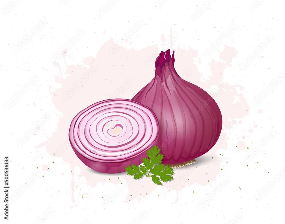 Onion vector illustration with onion green leaves Stock Vector | Adobe