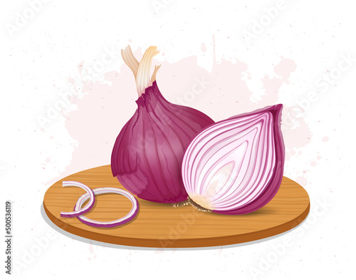 Onion root vegetable vector illustration with half piece of onion on a round piece of wooden chopping board