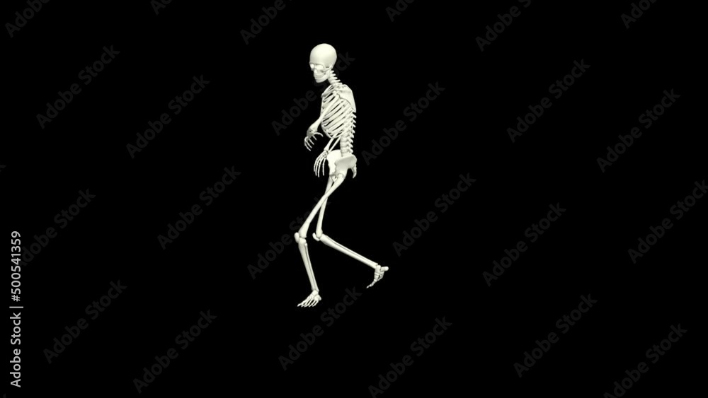 Skeleton Dancing 3D Animation.
You will get the Super Realistic 3D Animation dance of Skeleton.
Skeleton Dancing 3D Animation.
You will get the Super Realistic 3D Animation dance of Skeleton.