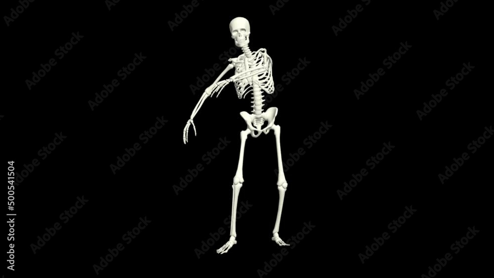Skeleton Dancing 3D Animation.
You will get the Super Realistic 3D Animation dance of Skeleton.
Skeleton Dancing 3D Animation.
You will get the Super Realistic 3D Animation dance of Skeleton.