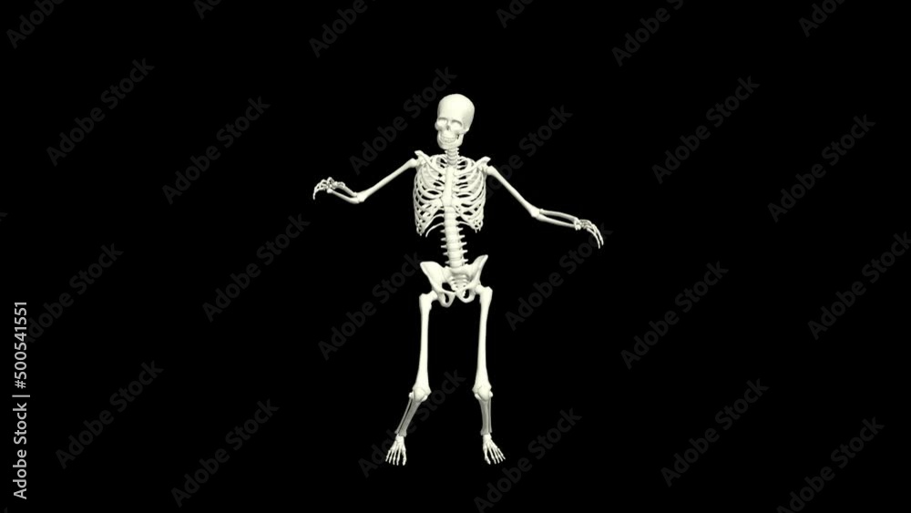 Skeleton Dancing 3D Animation.
You will get the Super Realistic 3D Animation dance of Skeleton.
