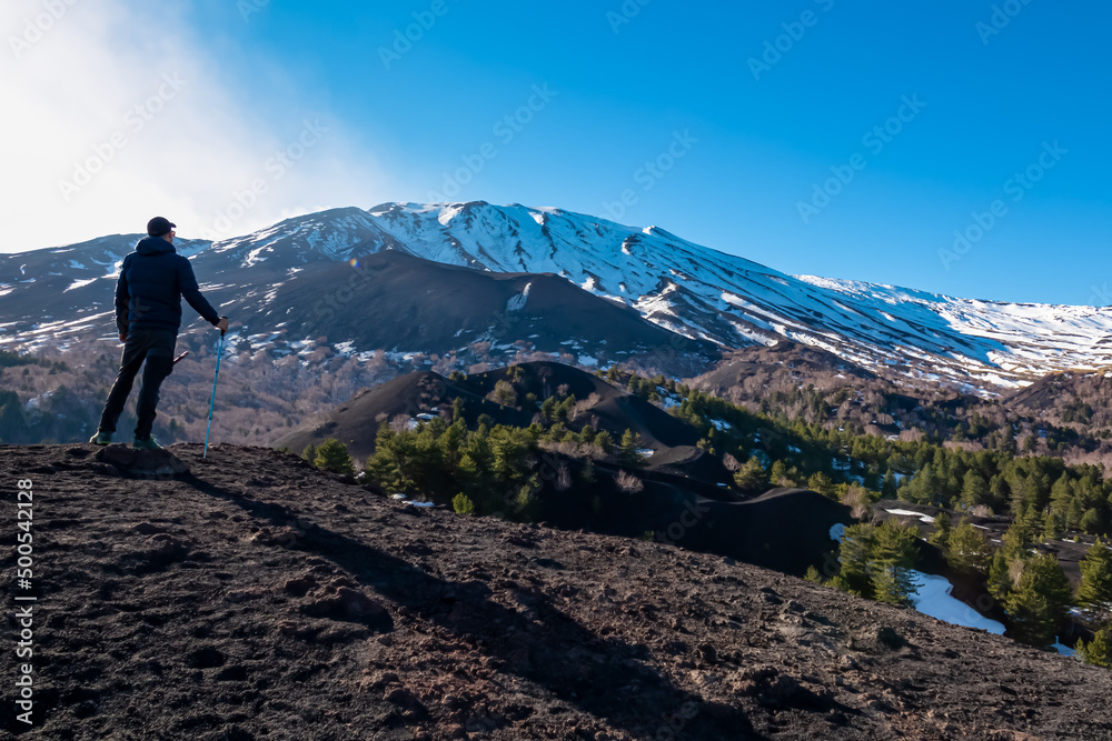 Man with hiking pole on volcanic landscape of volcano mount Etna, in Sicily, Italy, Europe. Pine and white birch trees growing on solidified lava, ash and pumice. Slopes of crater covered with snow