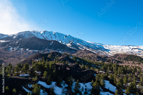 Panoramic view on solidified lava, ash, pumice fields of erupted Sartorio crater. Landscape dark volcanic sand on bare terrain. View on snow capped volcano mount Etna, in Sicily, Italy, Europe. Pine