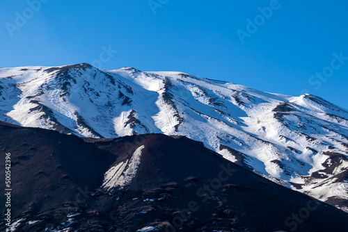 White birch forest growing on brown dark volcanic sand, bare terrain. Scenic view on volcano mount Etna, in Sicily, Italy, Europe. Solidified lava, ash, pumice on snow covered crater slopes. Flora © Chris