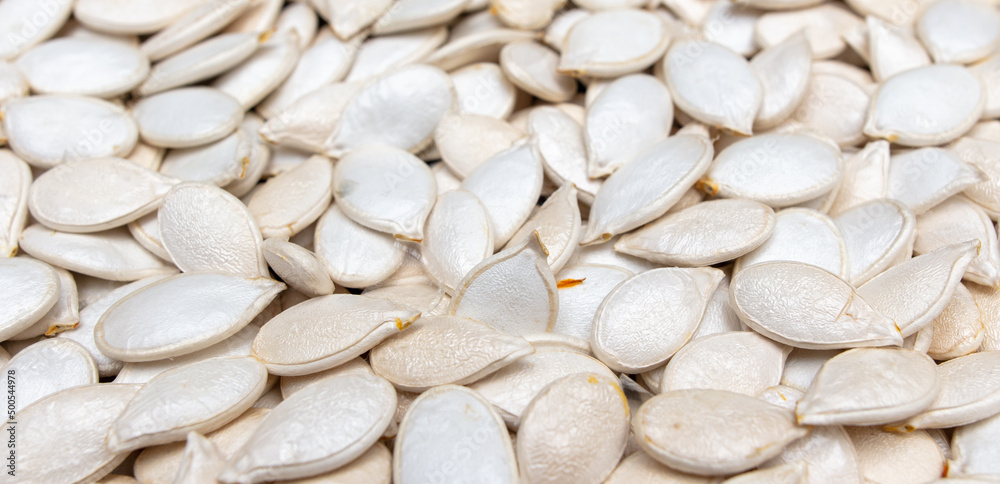 White pumpkin seeds as background. White pumpkin seeds as background.