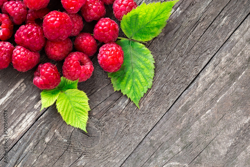 raspberry summer fruits with leaves freshly picked.