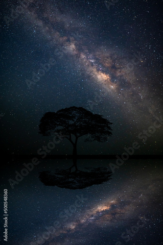 Vertical shot of black tree and milky way and star on dark background mirror reflection on water.with grain and select white balance.
