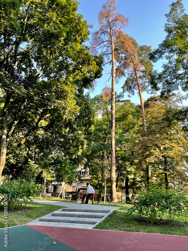 park in the summer kyiv park