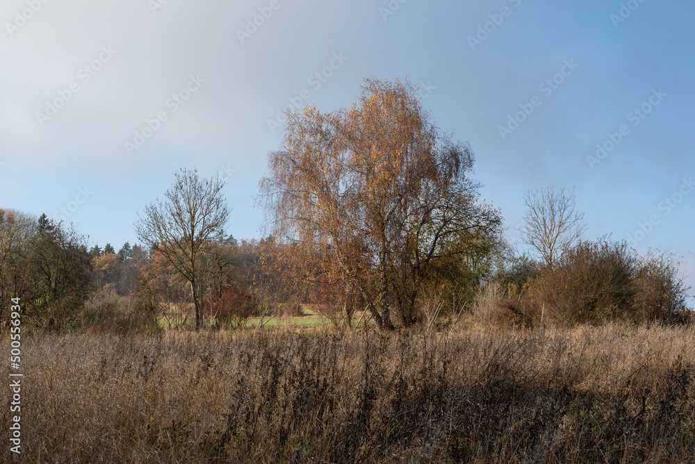 a landscape in autumn with cloudy sky a landscape in autumn with cloudy sky
