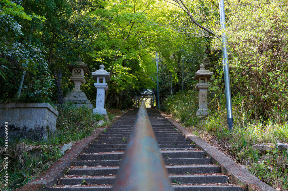 Obraz premium 神社参拝道