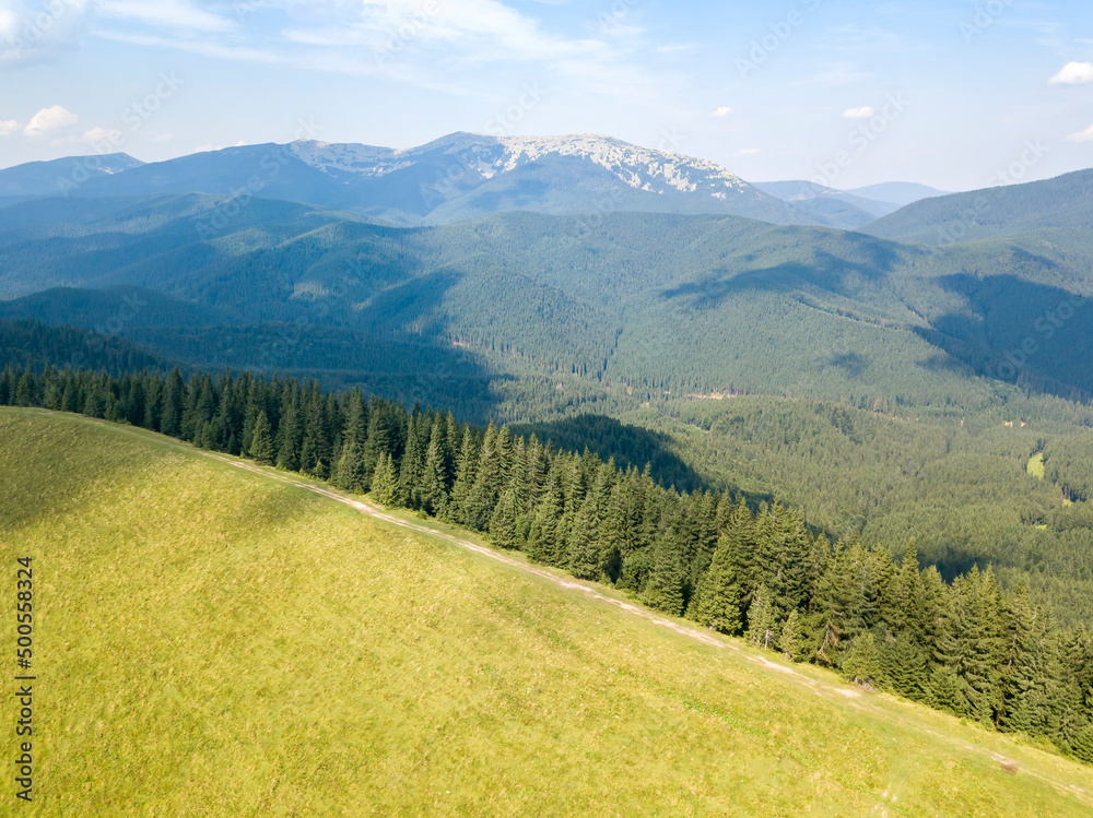 Obraz premium Green mountains of Ukrainian Carpathians in summer. Sunny day, rare clouds. Aerial drone view.
