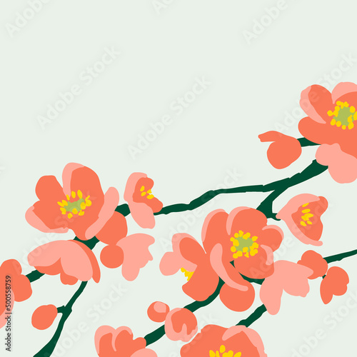 Quince flower. Spring flowering bushes. Vector flowers on branches. Seasonal flowers. Japanese quince