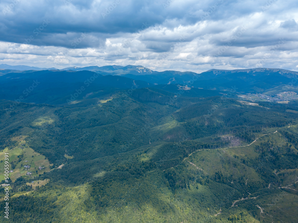 Green mountains of Ukrainian Carpathians in summer. Coniferous trees on the slopes. Aerial drone view.