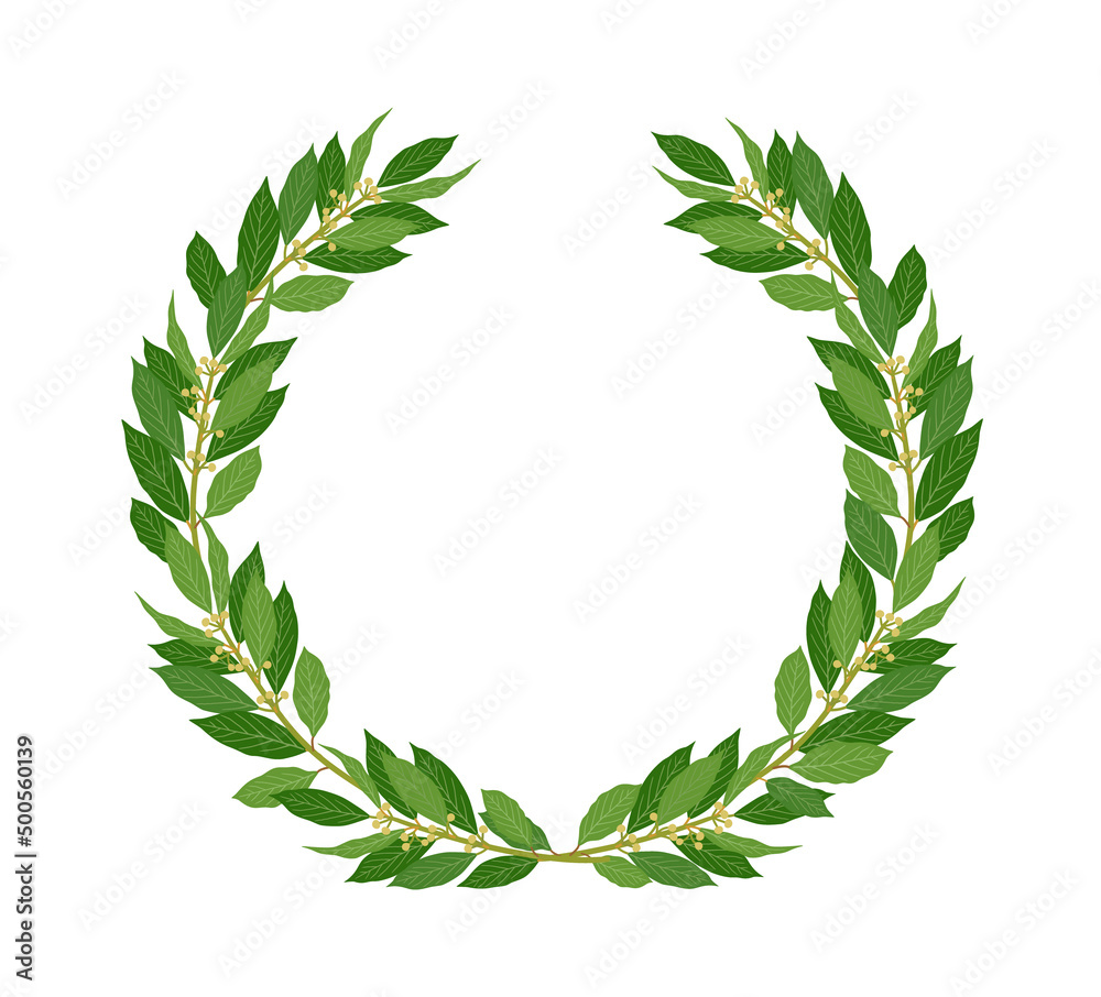 Laurel wreath. Vector illustration of a round wreath of laurel branches with green leaves isolated on a white background. Laurel wreath. Vector illustration of a round wreath of laurel branches with green leaves isolated on a white background.