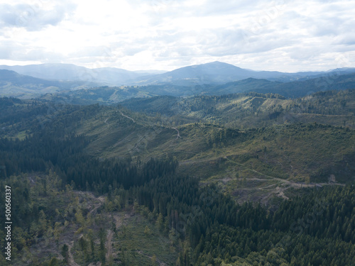 Green mountains of Ukrainian Carpathians in summer. Coniferous trees on the slopes. Aerial drone view.