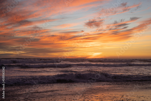 Fototapeta Naklejka Na Ścianę i Meble -  Orange sunset, with birds flying and big waves on Concón beach, Chile